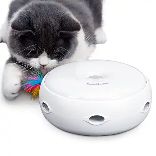 Die beste Intelligenzspielzeug-Katze HAPPY HACHI, DREI Modi, Silent Version 2026 Test Bestseller Intelligenzspielzeug-Katze HAPPY HACHI, DREI Modi, Silent Version