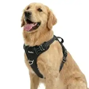Y-Geschirr Hund Funfox Hundegeschirr für große Hunde No Pull