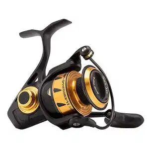 Spinnrolle Penn Spinfisher