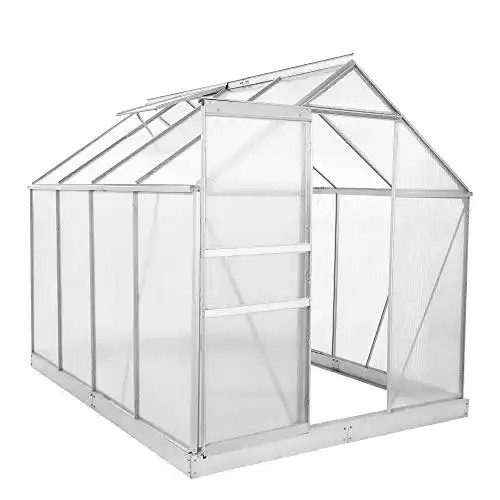 Gewächshaus Zelsius Aluminium für den Garten | 250 x 190 cm