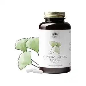 Ginkgo-Tabletten Kräuterhandel Sankt Anton, 360 Kapseln