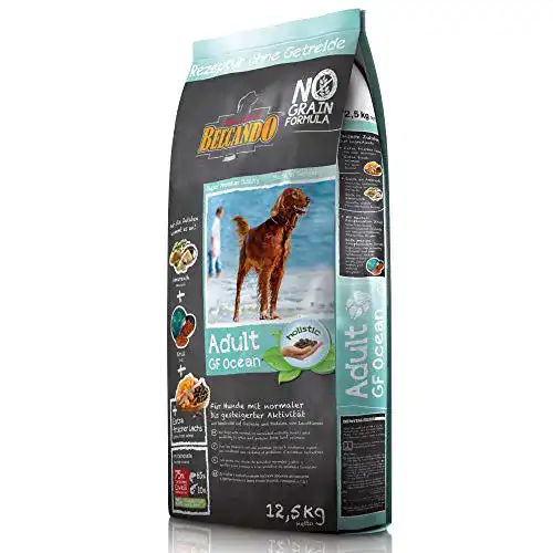 Die beste Belcando-Trockenfutter Belcando Adult GF Ocean 12,5 kg 2026 Test Bestseller Belcando-Trockenfutter Belcando Adult GF Ocean 12,5 kg