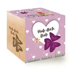 Ecocube Feel Green 296657 Celebrations , Herzblattklee/Love Plant