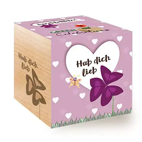 Ecocube Feel Green 296657 Celebrations , Herzblattklee/Love Plant