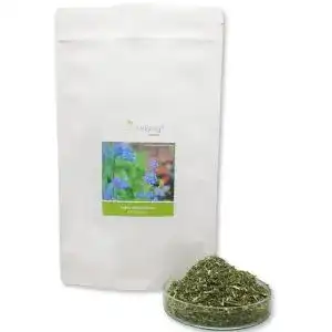 Catnip berryz Katzenminze XXL Nepeta Cataria