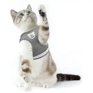 Katzengeschirr Supet Geschirr für Katzen mit Leine, Grau