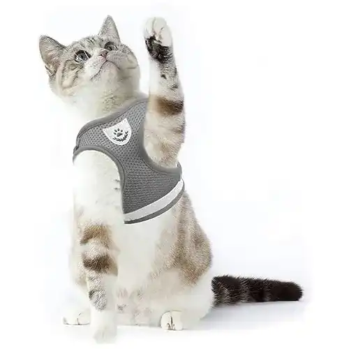 Katzengeschirr Supet Geschirr für Katzen mit Leine, Grau