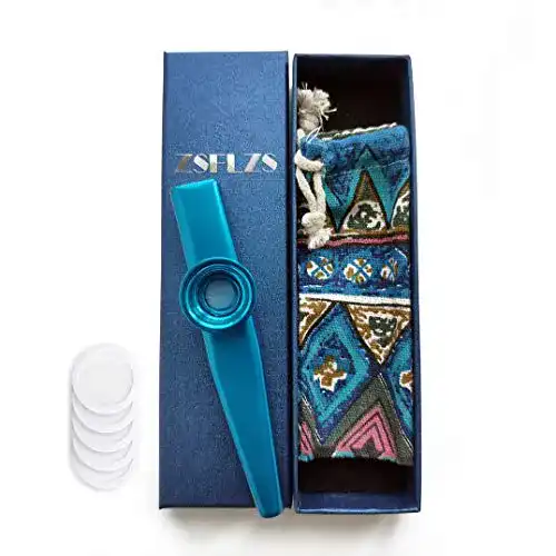Kazoo ZSFLZS Metall mit einer schönen Geschenkbox, Mini