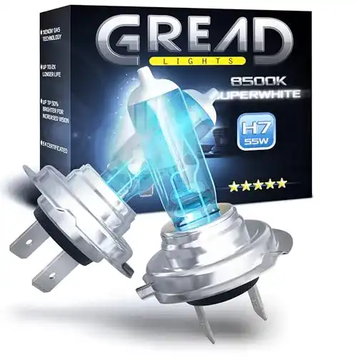 H7-Birne Gread Halogen Lampen Xenon Optik