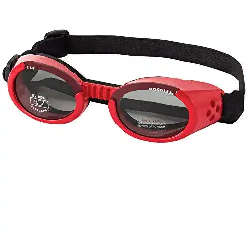 Die beste Sonnenbrille Hund Doggles DGIL-13-L ILS Shiny Red Frame 2026 Test Bestseller Sonnenbrille Hund Doggles DGIL-13-L ILS Shiny Red Frame