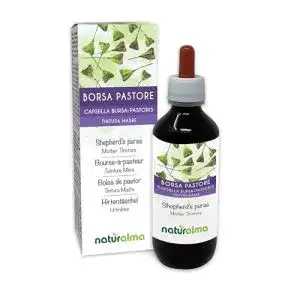 Hirtentäschel Naturalma (Capsella bursa-pastoris) Kraut, 200 ml