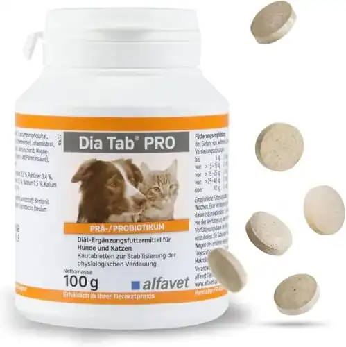 Die beste Probiotika Hund Alfavet Dia Tab PRO Probiotikum für Hunde 2026 Test Bestseller Probiotika Hund Alfavet Dia Tab PRO Probiotikum für Hunde