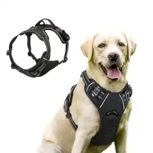 Hundegeschirr mit Brustring FullBerg Hundegeschirr Anti Zug