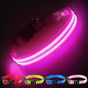 Leuchthalsband Hund PcEoTllar LED Hundehalsband USB