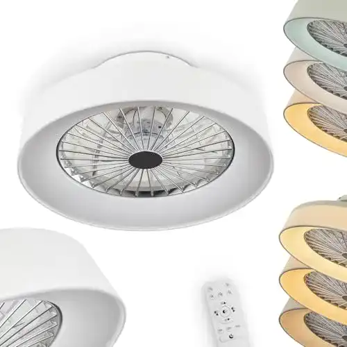 Deckenventilator mit Lampe HOFSTEIN LED Deckenventilator Moli