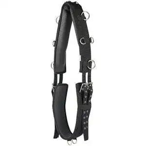 Longiergurt Harry’s Horse Longeersingel Sharkskin, Größe:Full