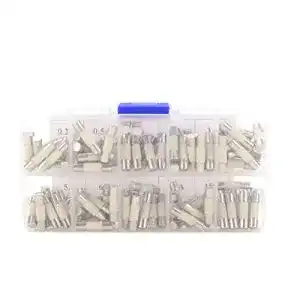 Feinsicherungen WINOMO 100 Stücke Keramik Sicherung 5x20mm Fast-blow