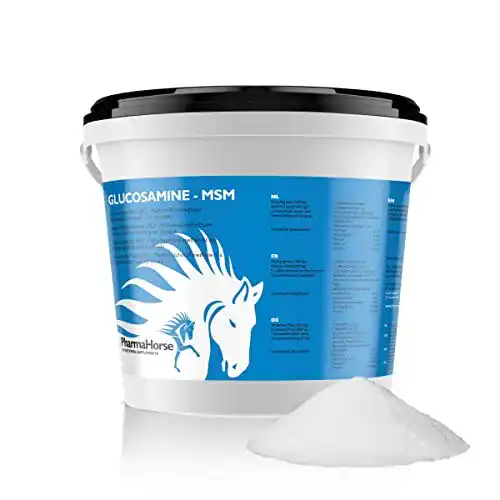 MSM Pferd PharmaHorse Glucosamin & MSM | ausgewogen