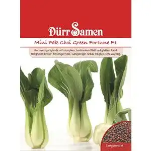 Pak-Choi-Samen Dürr-Samen Mini Pak Choi Green Fortune F1