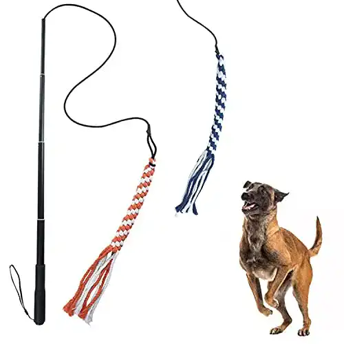 Reizangel (Hund) Alsanda Hundespielzeug ausziehbare Reizangel