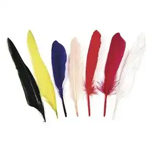 Federn zum Basteln Rayher 8528549 Indianerfedern, 17,5 cm