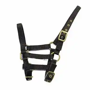 Fohlenhalfter Rhinegold 0 Nylon Foal Headcollar-Black Halfter