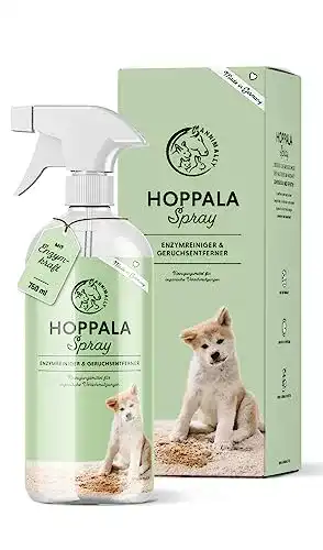 Die beste Teppichreiniger-Spray Annimally Enzymreiniger Spray 750ml 2026 Test Bestseller Teppichreiniger-Spray Annimally Enzymreiniger Spray 750ml