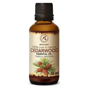 Zedernöl AROMATIKA trust the power of nature Zedernholzöl 50ml