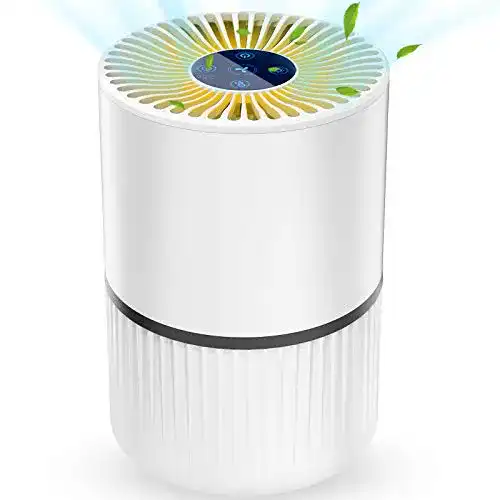 Ionisator HEPA-Filter Laluztop Luftreiniger Air Purifier Ionisator
