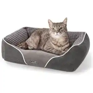 Katzenbett pecute Hundebett Haustierbett, waschbar S, 53 * 43 cm