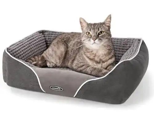 Die beste Katzenbett pecute Hundebett Haustierbett, waschbar S, 53 * 43 cm 2026 Test Bestseller Katzenbett pecute Hundebett Haustierbett, waschbar S, 53 * 43 cm