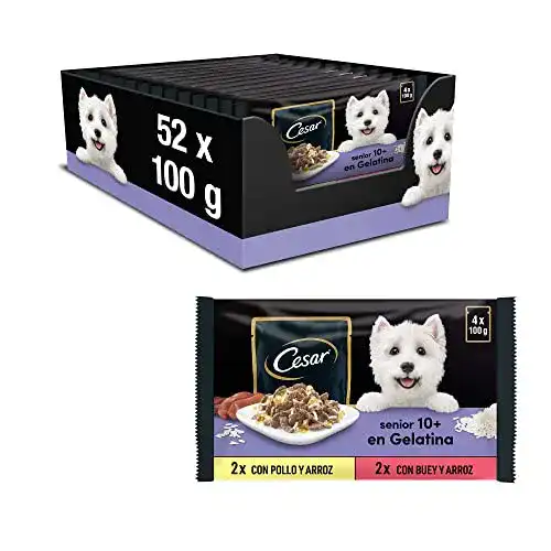 Cesar-Hundefutter Cesar Senior 10+ Hundefutter in Gelee, 13 x