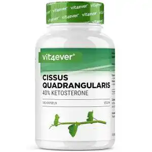 Cissus quadrangularis Vit4ever – 180 Kapseln mit 720 mg Extrakt