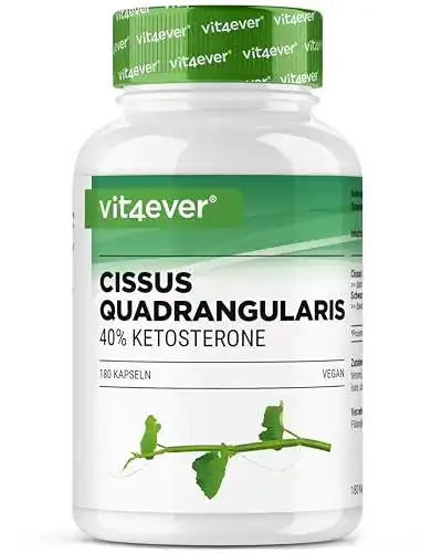 Die beste Cissus quadrangularis Vit4ever - 180 Kapseln mit 720 mg Extrakt 2026 Test Bestseller Cissus quadrangularis Vit4ever – 180 Kapseln mit 720 mg Extrakt