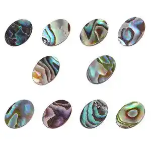 Abalone-Muschel EXCEART 10 Stück -Perlen, oval, natürlich, flach