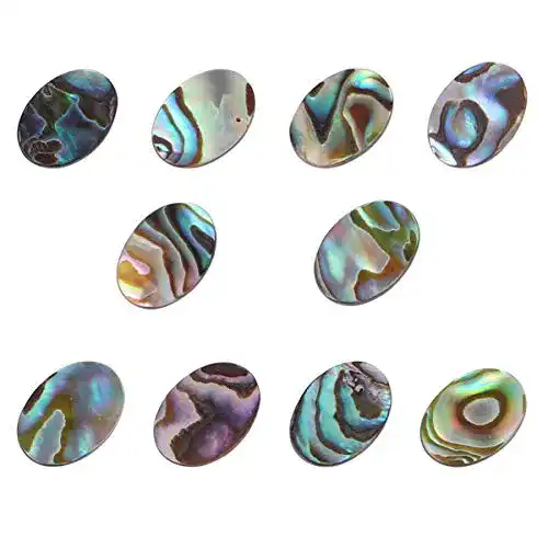 Abalone-Muschel EXCEART 10 Stück -Perlen, oval, natürlich, flach