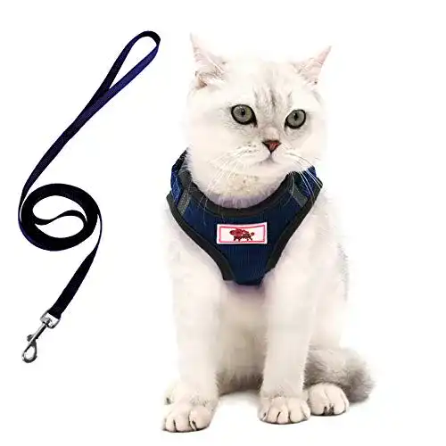 Die beste Katzengeschirr Kitten GHEART Katzengeschirr mit Leine 2026 Test Bestseller Katzengeschirr Kitten GHEART Katzengeschirr mit Leine