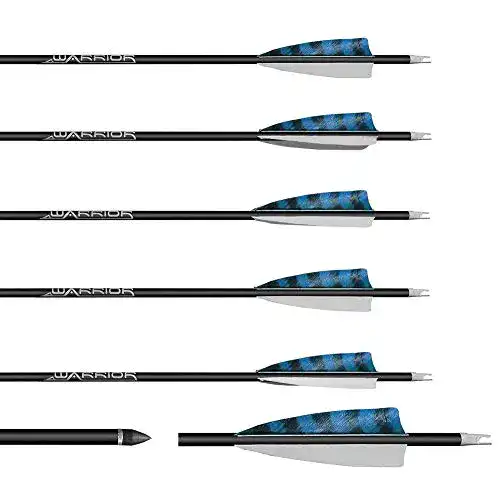 Carbonpfeile Franks-Castle 6 Stück Gold Tip Warrior Spine 400