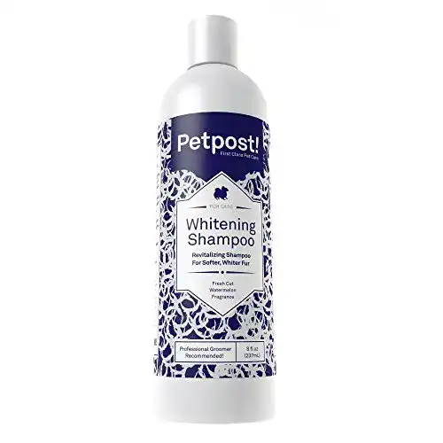 Die beste Hundeshampoo (weißes Fell) Petpost, aufhellend, 237 ml 2026 Test Bestseller Hundeshampoo (weißes Fell) Petpost, aufhellend, 237 ml
