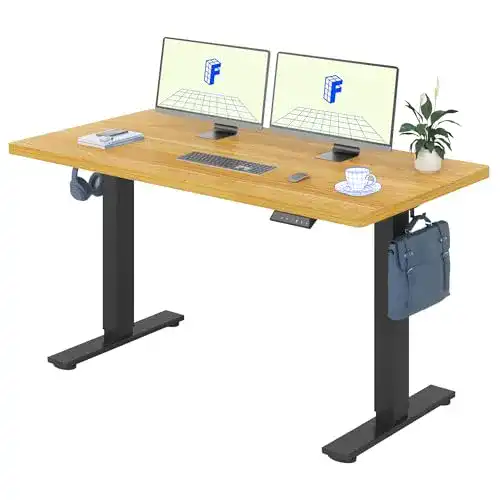 Flexispot höhenverstellbarer Schreibtisch FLEXISPOT EG1