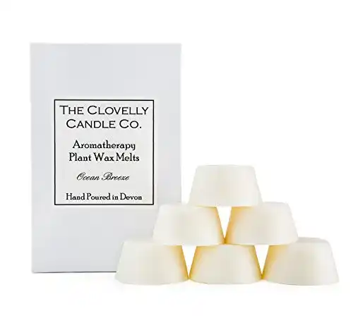 Duftwachs The Clovelly Soap Co. Clovelly Soap Co Natürlich