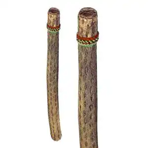 Regenmacher Terré aus Chile Länge 75 cm Ø 4-6 cm
