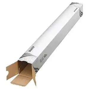 Lange Kartons Esselte Leitz easyboxx