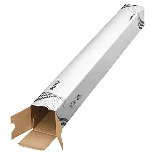 Lange Kartons Esselte Leitz easyboxx