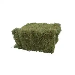 Heuballen Futtermais Heu, 12kg als Deko oder Futter