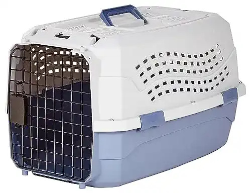 Hundebox Amazon Basics Transportbox für Haustiere