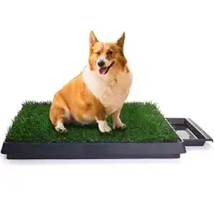 Hundetoilette Sailnovo Hundeklo Kunstrasen 63 x 50x 7 cm (2)