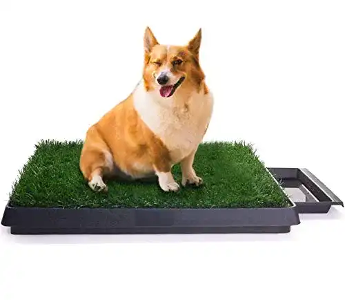 Hundetoilette Sailnovo Hundeklo Kunstrasen 63 x 50x 7 cm (2)