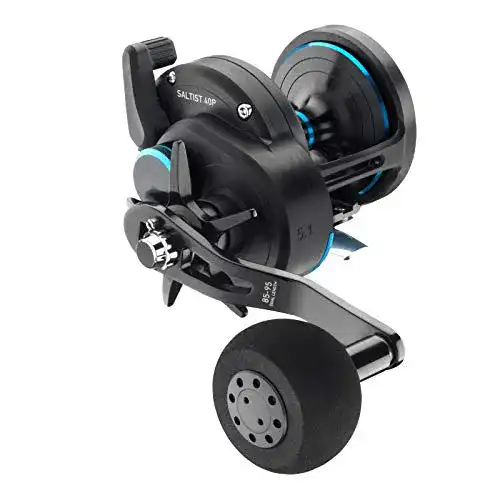 Die beste Daiwa-Multirolle Daiwa Saltist 40P 2026 Test Bestseller Daiwa-Multirolle Daiwa Saltist 40P