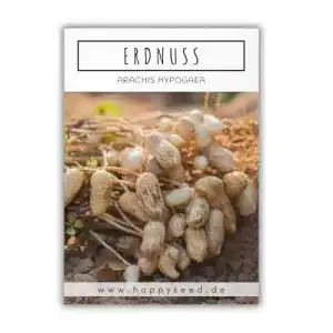 Erdnuss-Samen HappySeed Erdnuss Samen (Arachis hypogeae)